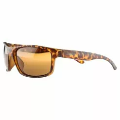 Pool 12 Brown Hawk, Amber